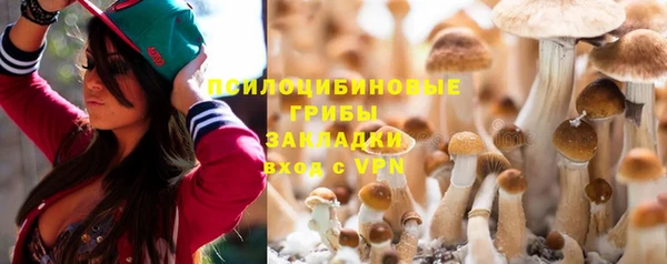 шишки Новозыбков