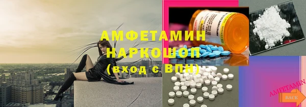 шишки Новозыбков