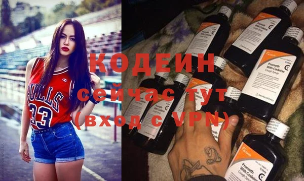 шишки Новозыбков