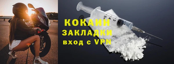 шишки Новозыбков