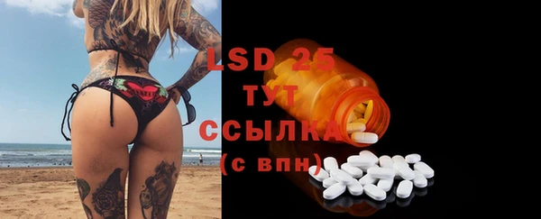 шишки Новозыбков