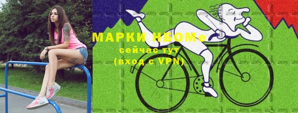 шишки Новозыбков