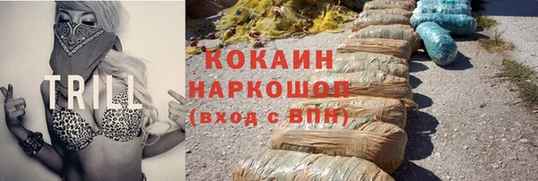 шишки Новозыбков