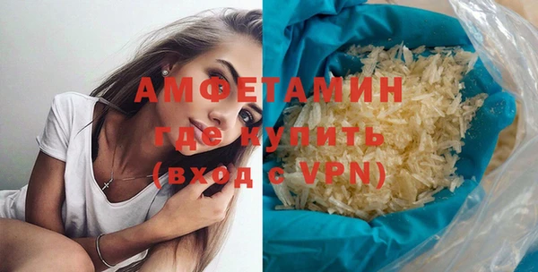 шишки Новозыбков