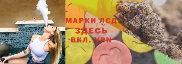 шишки Новозыбков